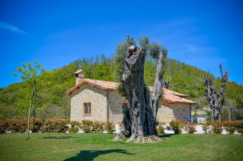 Tenuta Borgo Santa Cecilia Gubbio Bagian luar foto